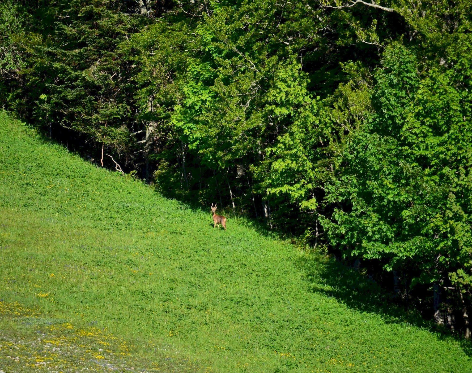Val Lachard Villard-de-Lans Dış mekan fotoğraf